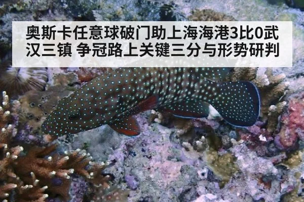 奥斯卡任意球破门助上海海港3比0武汉三镇 争冠路上关键三分与形势研判