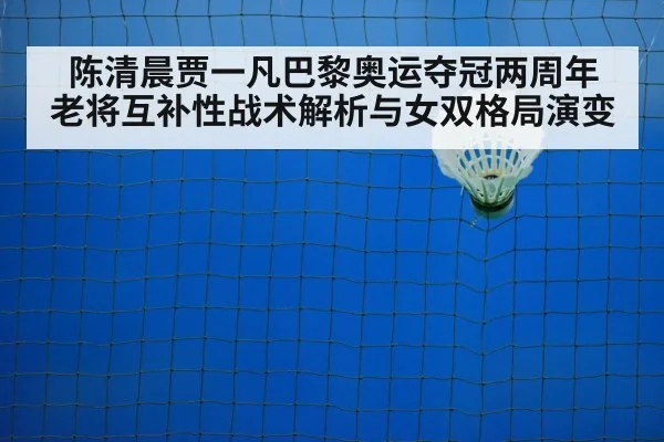 badminton net play